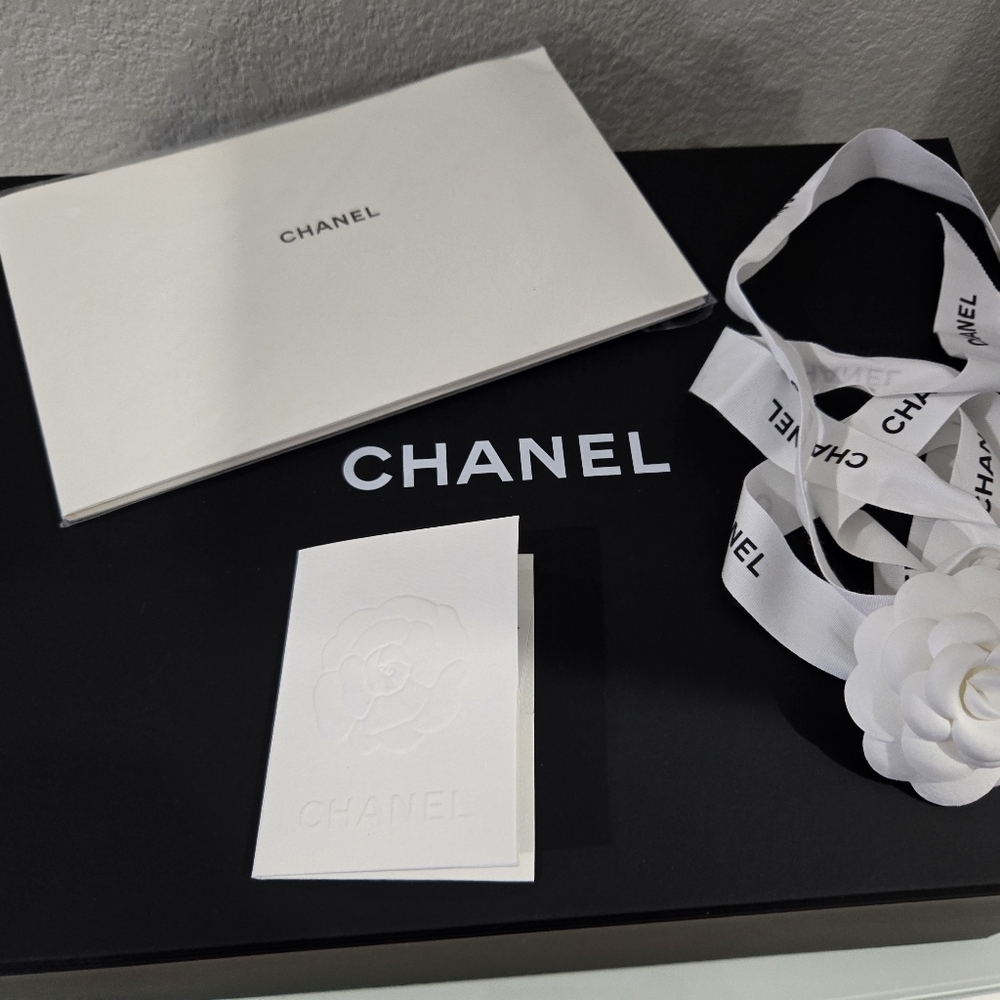 Chanel 22A Duma Backpack White With Gold Hardware - Picture 11 of 11
